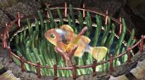 Fish hologram.png