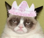 grumpy-cat-bday-princess.jpg