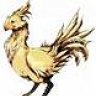 chocobo25