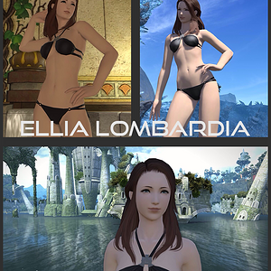 2015 BW FFXIV Bikini Screenshot Contest