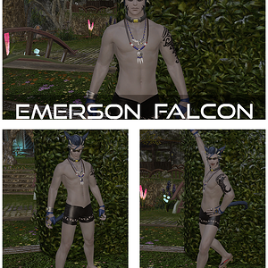 2015 BW FFXIV Bikini Screenshot Contest