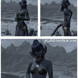 2015 BW FFXIV Bikini Screenshot Contest