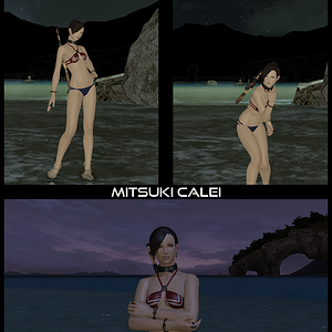 2015 BW FFXIV Bikini Screenshot Contest