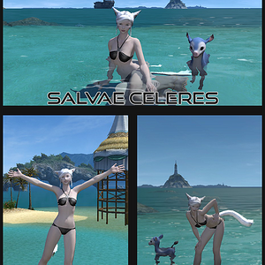 2015 BW FFXIV Bikini Screenshot Contest