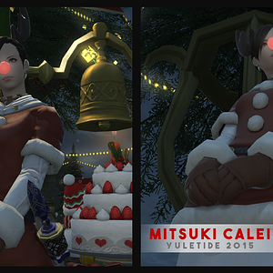 2015 FFXIV Yuletide Screenshot Contest