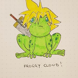 2019 FFFrog It! Drawing Event Entry