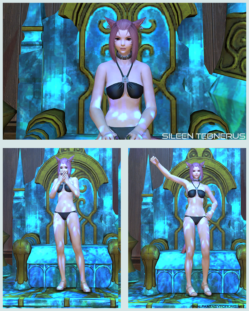 2015 BW FFXIV Bikini Screenshot Contest