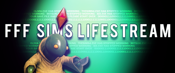 2018 FFF Sims Lifestream Banner